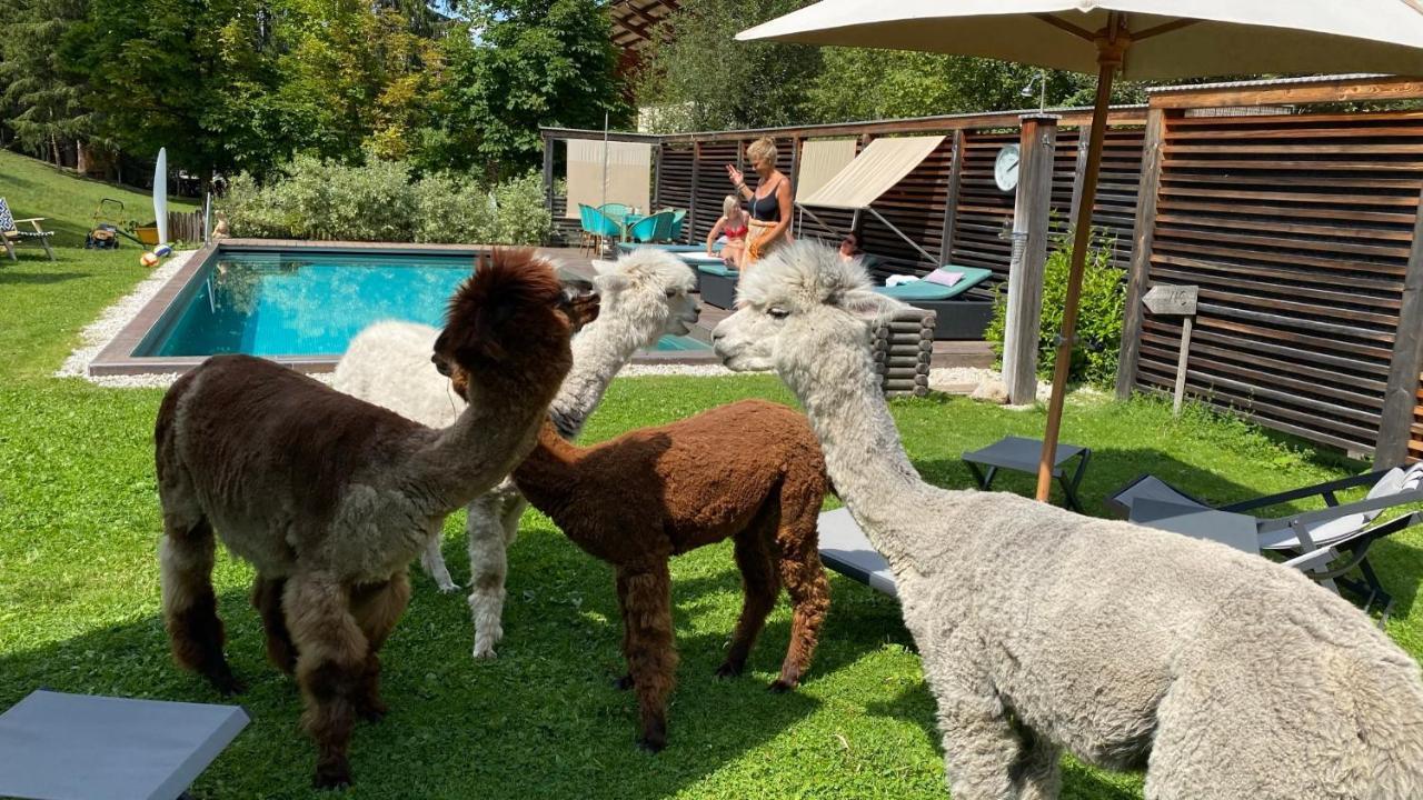 Dolomit Boutique Hotel ラ・ヴィッラ エクステリア 写真